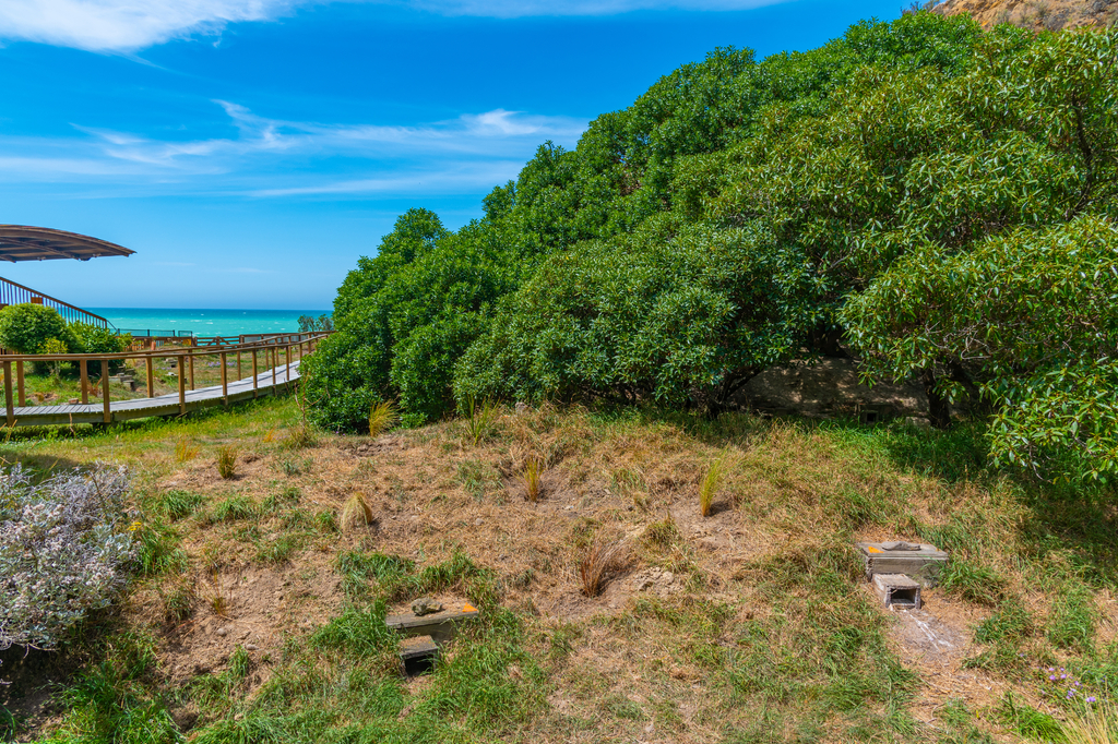 Lais Puzzle - Beobachtungsgebiet der Oamaru Blue Penguin Colony in Neuseeland - 2.000 Teile p-307494