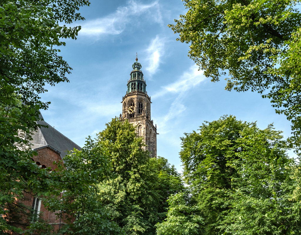 Lais Puzzle - Martinikerk, Groningen, Provinz Groningen, Niederlande - 40, 100, 200, 500, 1.000 & 2.000 Teile p-308161