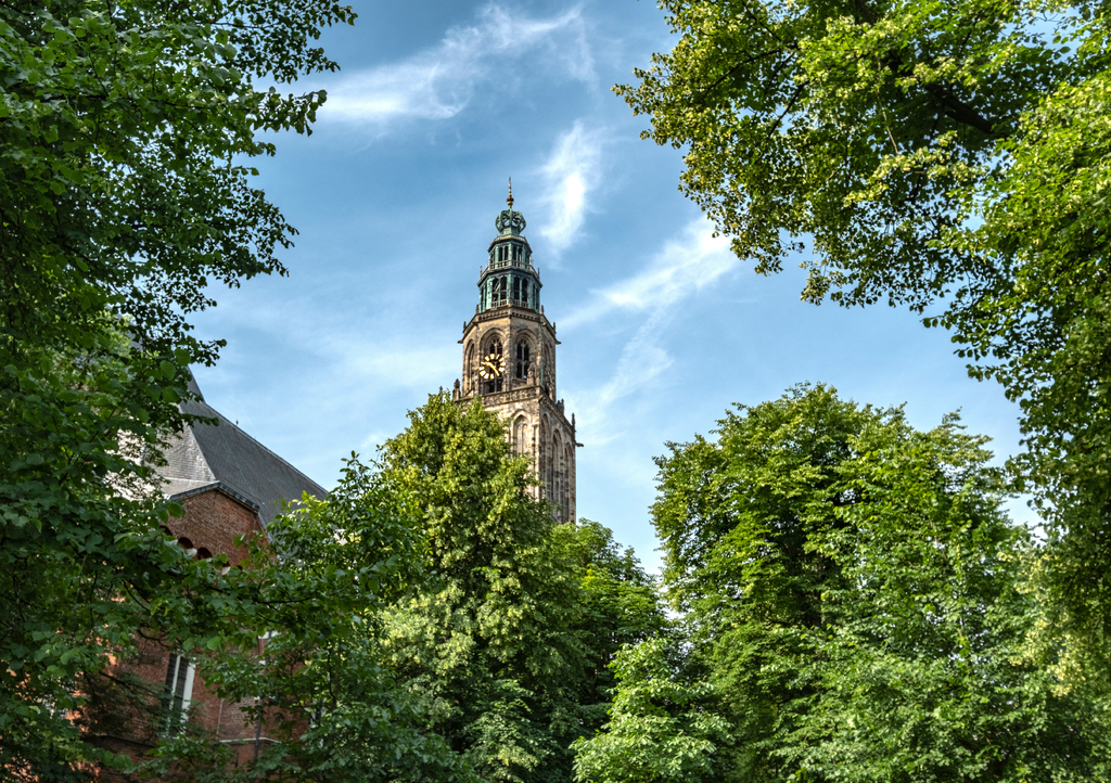 Lais Puzzle - Martinikerk, Groningen, Provinz Groningen, Niederlande - 1.000 Teile p-308165