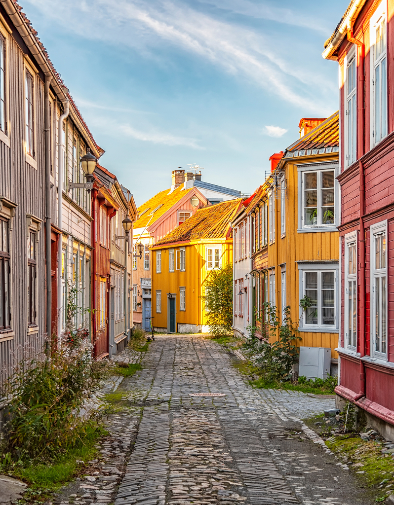 Lais Puzzle - Trondheim Enge Kopfsteinpflasterstraße - 40, 100, 200, 500, 1.000 & 2.000 Teile p-308683