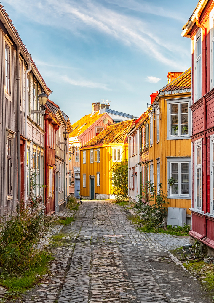 Lais Puzzle - Trondheim Enge Kopfsteinpflasterstraße - 1.000 Teile p-308687