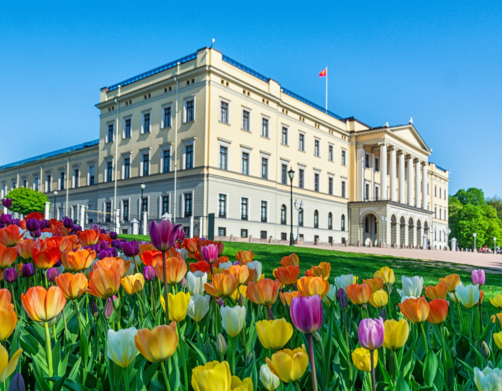 Lais Puzzle - Oslo / Königliches Schloss - 40, 100, 200, 500, 1.000 & 2.000 Teile p-308725