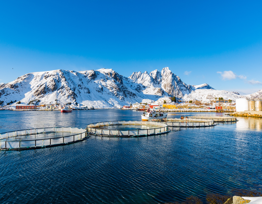 Lais Puzzle - Kleiner Fischereihafen von Ballstad, Lofoten, Norwegen - 40, 100, 200, 500 & 1.000 Teile p-309049