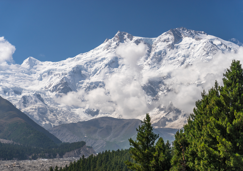 Lais Puzzle - Nanga Parbat Bergmassiv im Himalaya-Gebirge und Blick auf Kiefern von der Fairy Wiese im Sommer, Chilas, Pakistan, Asien - 1.000 Teile p-309965