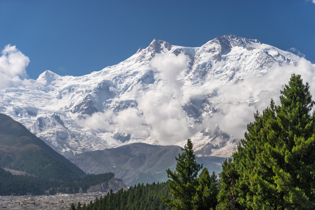 Lais Puzzle - Nanga Parbat Bergmassiv im Himalaya-Gebirge und Blick auf Kiefern von der Fairy Wiese im Sommer, Chilas, Pakistan, Asien - 2.000 Teile p-309966