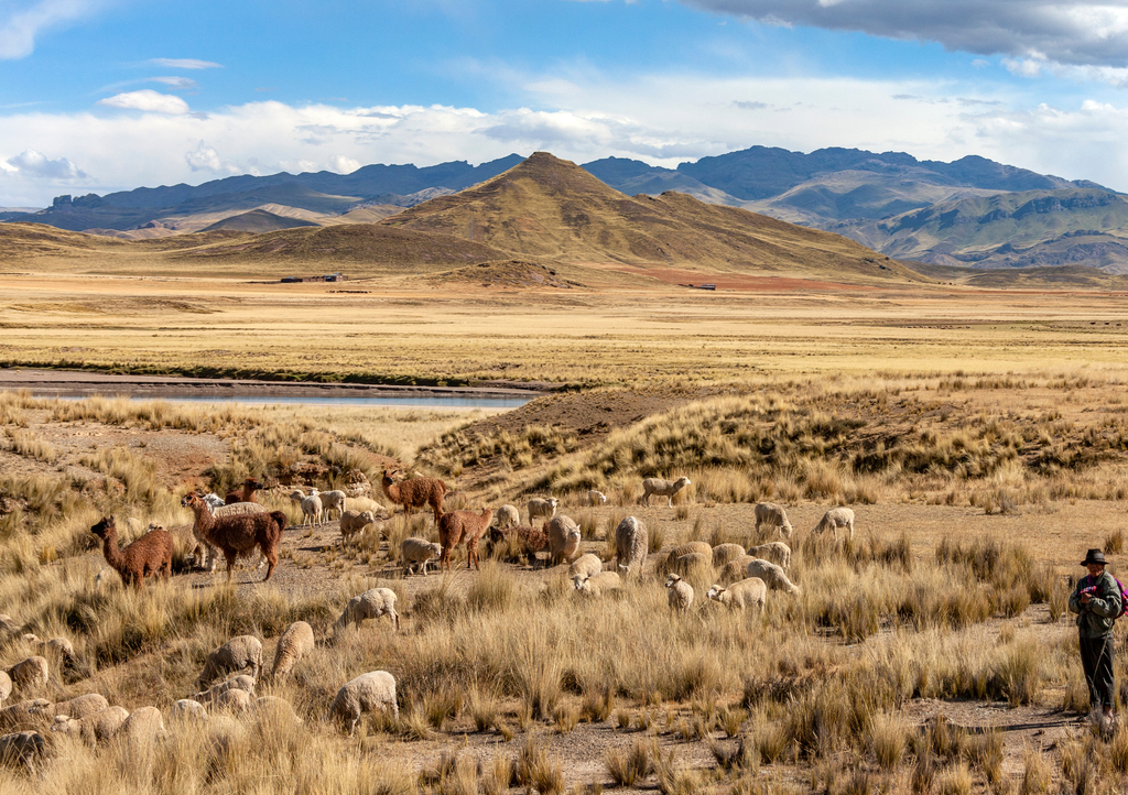 Lais Puzzle - Das Altiplano - Peru - Südamerika - 1.000 Teile p-310367