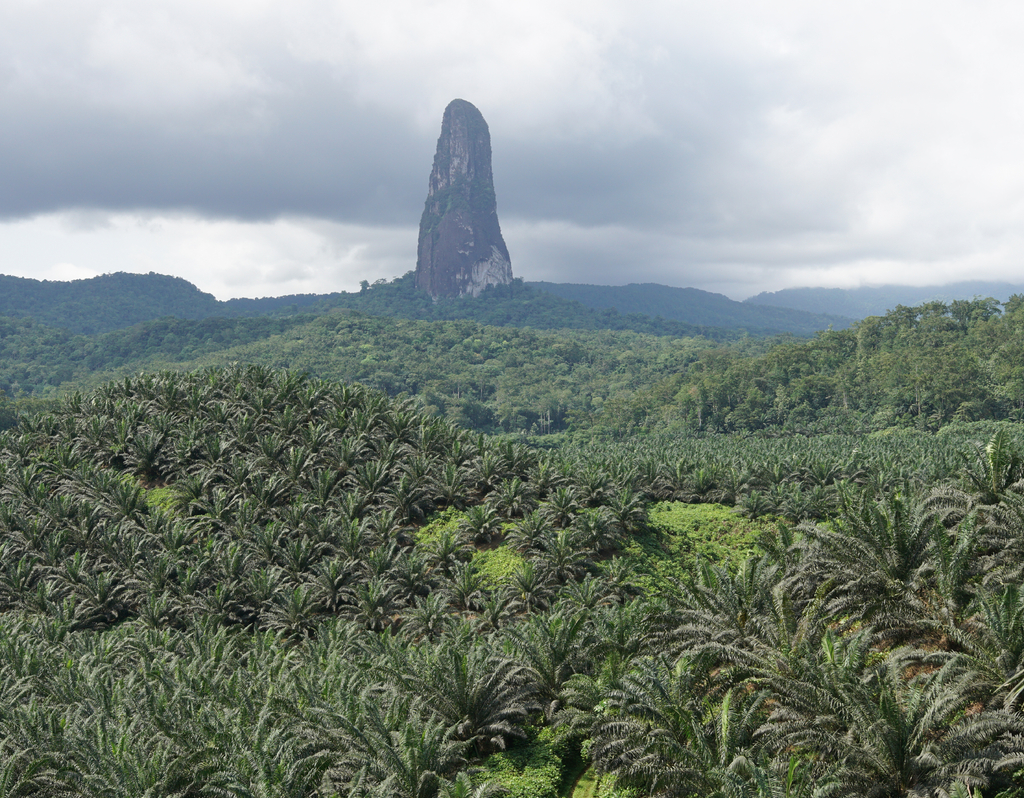 Lais Puzzle - Gipfel des Cao Grande, Sao Tome und Principe, Afrika - 40, 100, 200, 500, 1.000 & 2.000 Teile p-313243