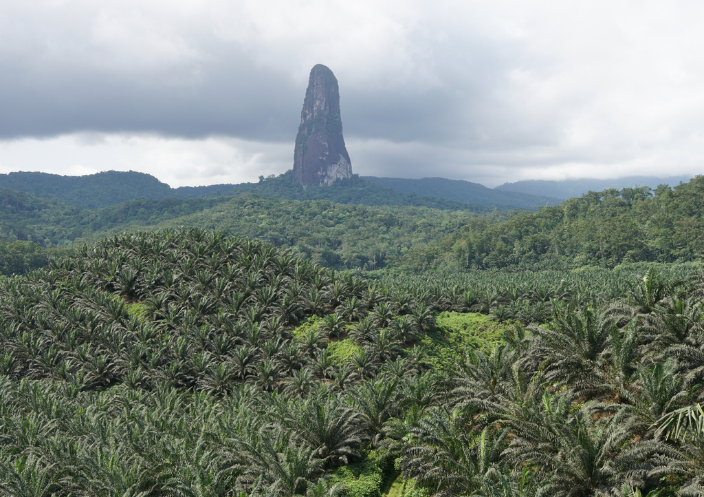 Lais Puzzle - Gipfel des Cao Grande, Sao Tome und Principe, Afrika - 1.000 Teile p-313247
