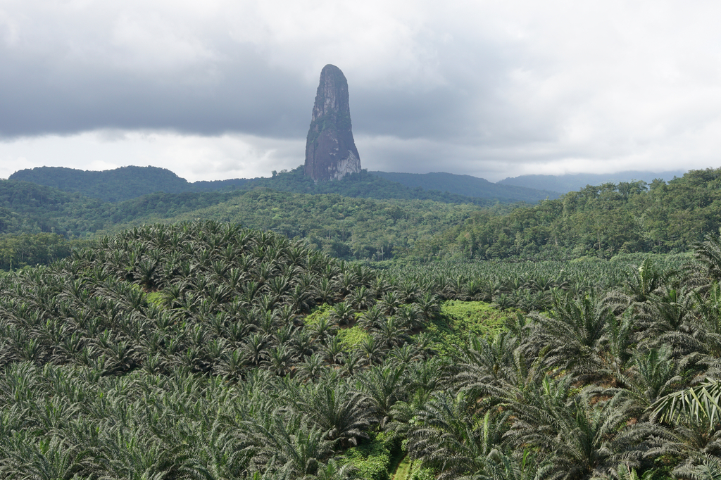 Lais Puzzle - Gipfel des Cao Grande, Sao Tome und Principe, Afrika - 2.000 Teile p-313248