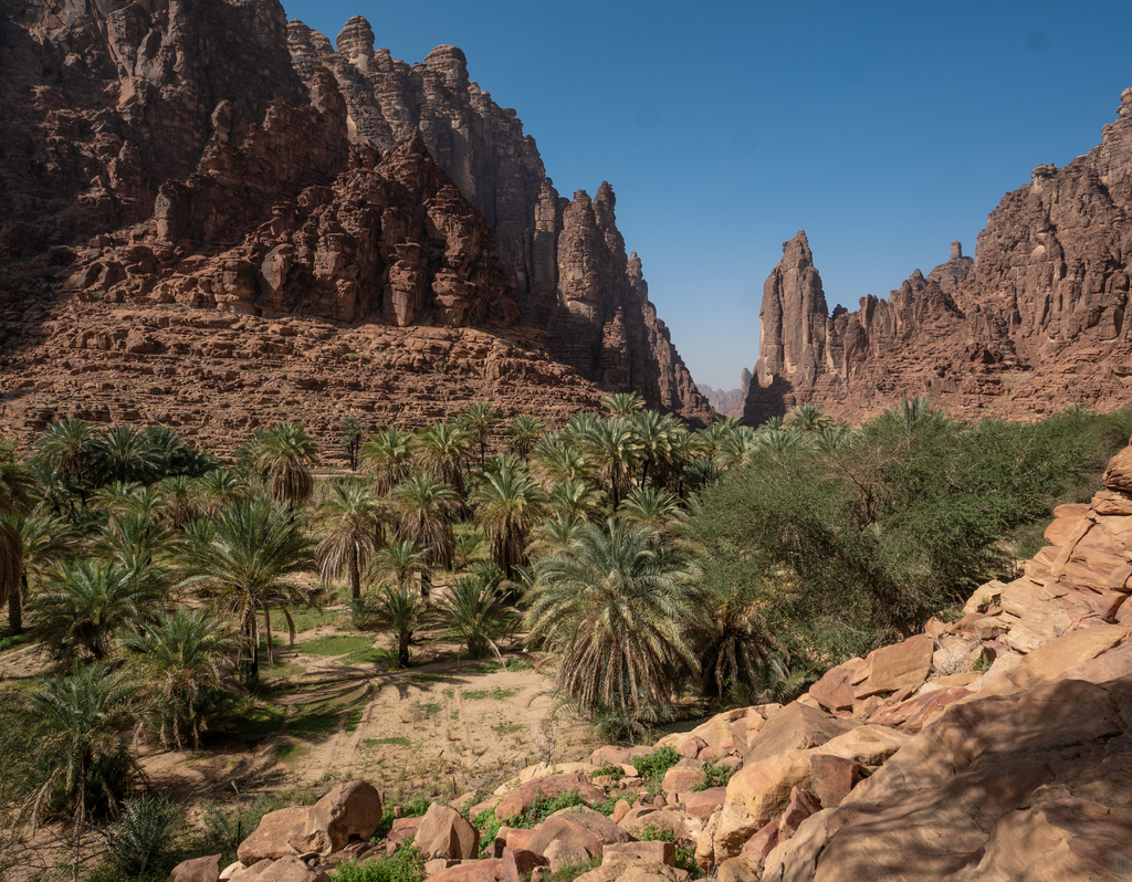 Lais Puzzle - Fels- und Oasenlandschaft im Wadi Disah in der Region Tabuk, Saudi-Arabien - 40, 100, 200, 500, 1.000 & 2.000 Teile p-313279