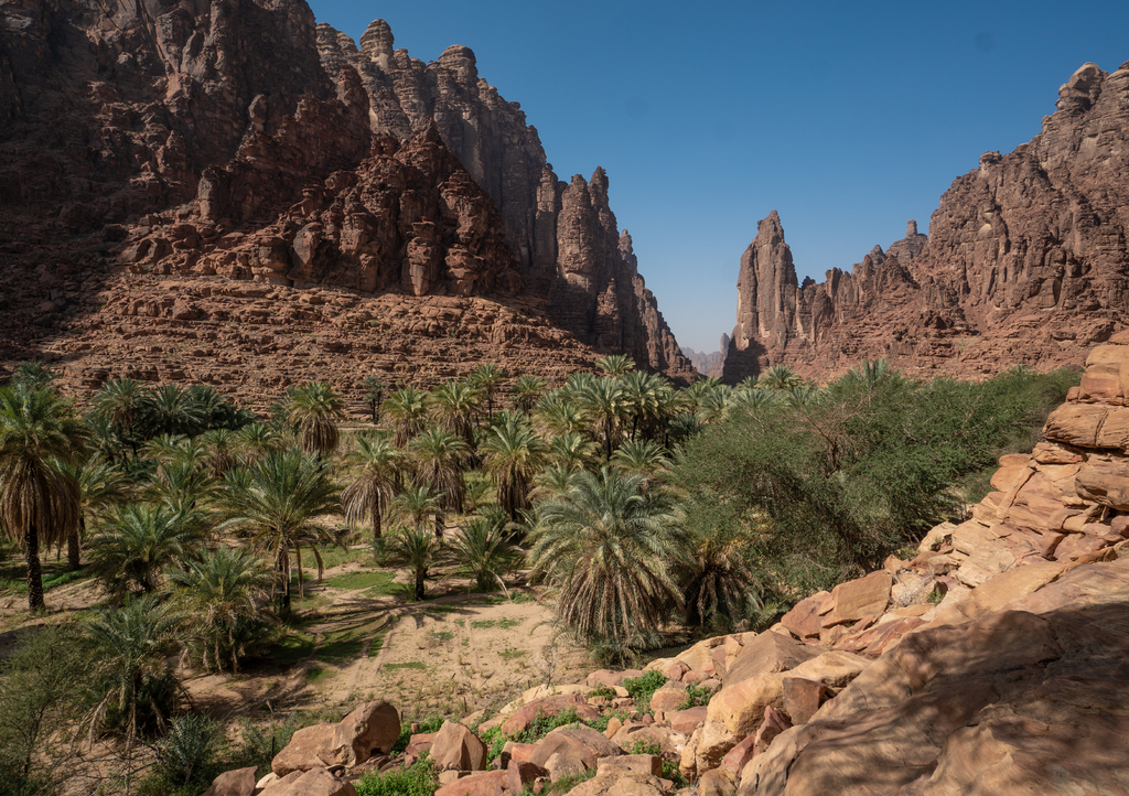 Lais Puzzle - Fels- und Oasenlandschaft im Wadi Disah in der Region Tabuk, Saudi-Arabien - 1.000 Teile p-313283