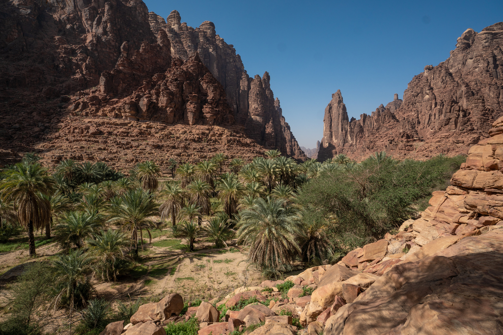 Lais Puzzle - Fels- und Oasenlandschaft im Wadi Disah in der Region Tabuk, Saudi-Arabien - 2.000 Teile p-313284