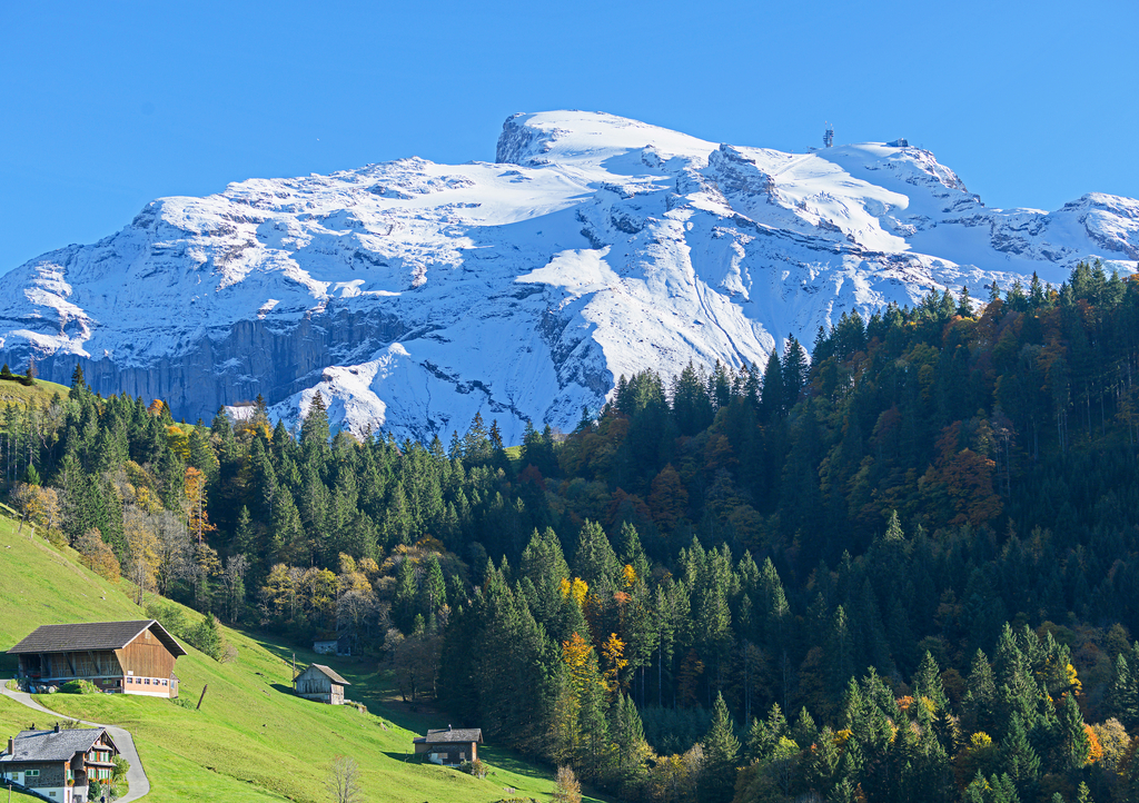 Lais Puzzle - Berg Titlis, ob Engelberg, Obwalden, Schweiz - 1.000 Teile p-314453