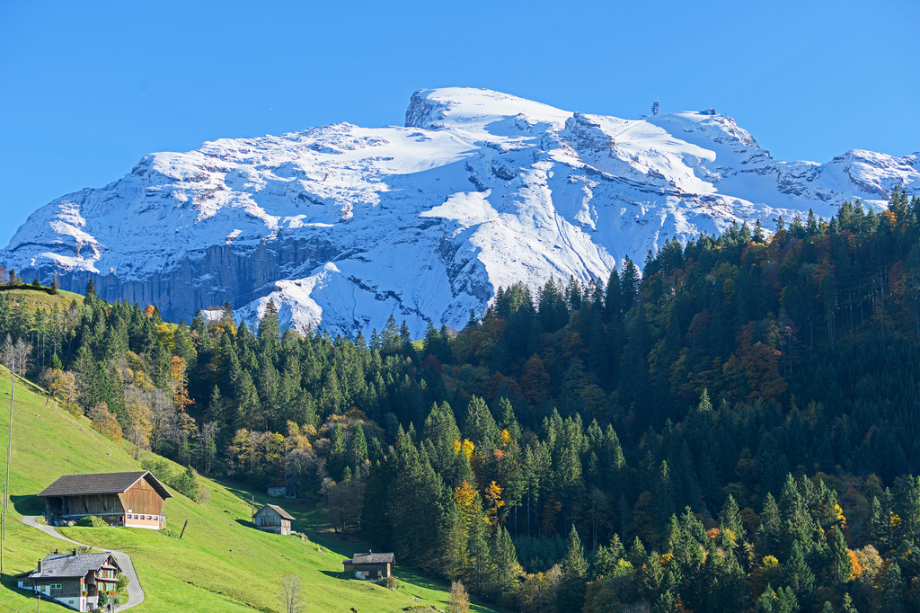Lais Puzzle - Berg Titlis, ob Engelberg, Obwalden, Schweiz - 2.000 Teile p-314454