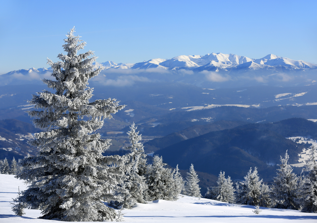 Lais Puzzle - Winterszene in der Slowakei - 1.000 Teile p-315101