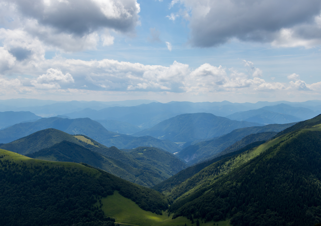 Lais Puzzle - Bergblick mit Kiefernwald, Slowakei - 1.000 Teile p-315221
