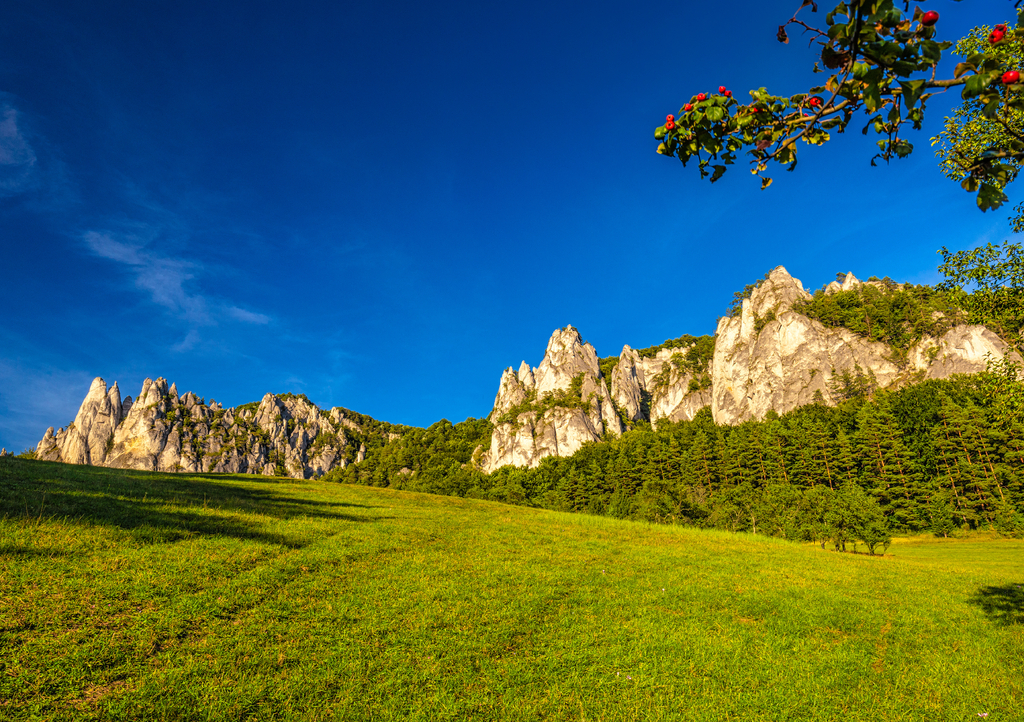 Lais Puzzle - Berglandschaft mit felsigen Gipfeln im Hintergrund im Sommer. Das Nationale Naturschutzgebiet Sulov Rocks, Slowakei, Europa - 1.000 Teile p-315347