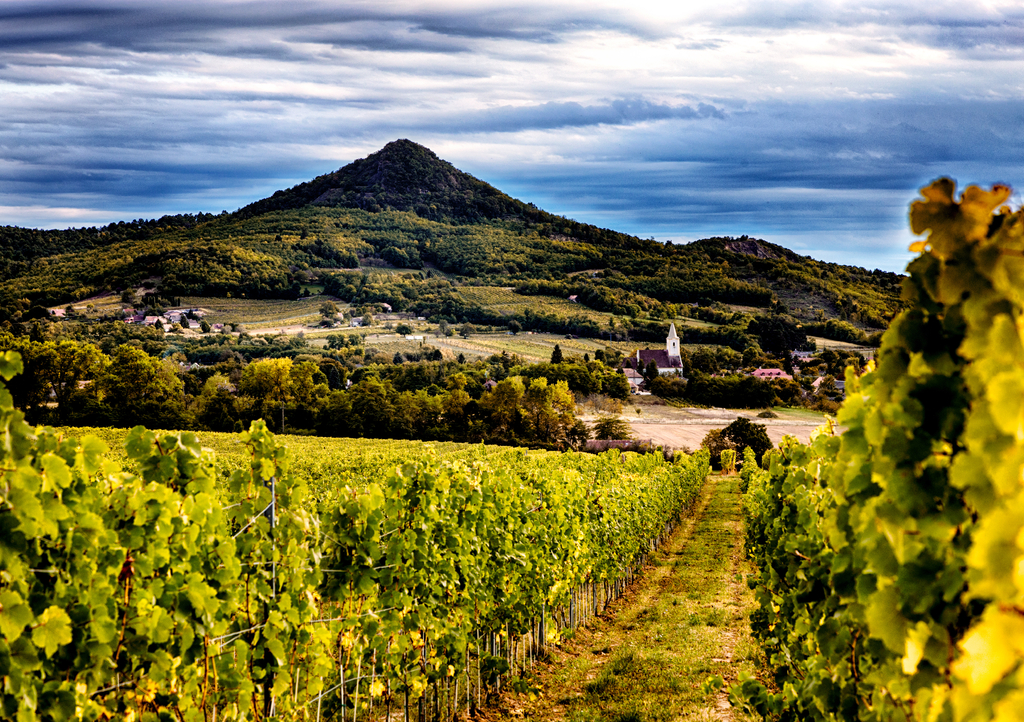 Lais Puzzle - Vulkanisches Weinbaugebiet in Ungarn, am Plattensee - 1.000 Teile p-320915