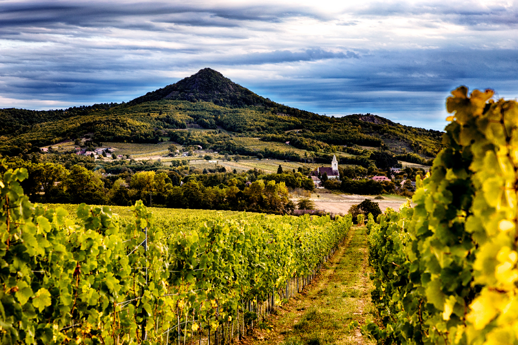 Lais Puzzle - Vulkanisches Weinbaugebiet in Ungarn, am Plattensee - 2.000 Teile p-320916