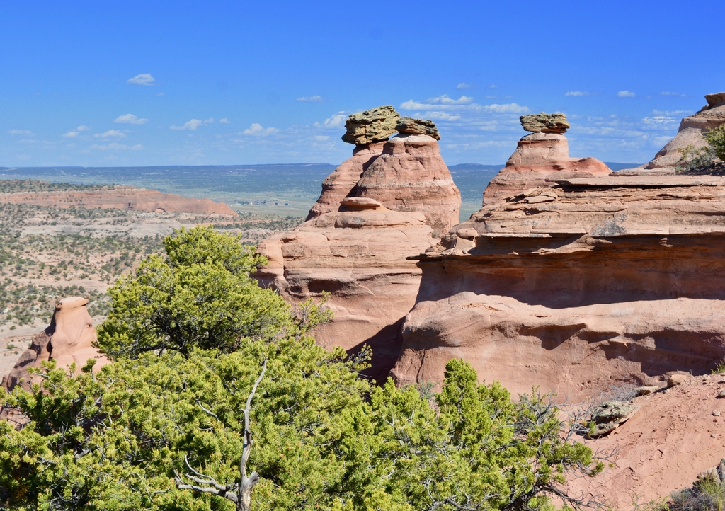 Lais Puzzle - Red Rock Park Gallup New Mexico Wüstenwanderung Sandsteinansicht - 1.000 Teile p-321689