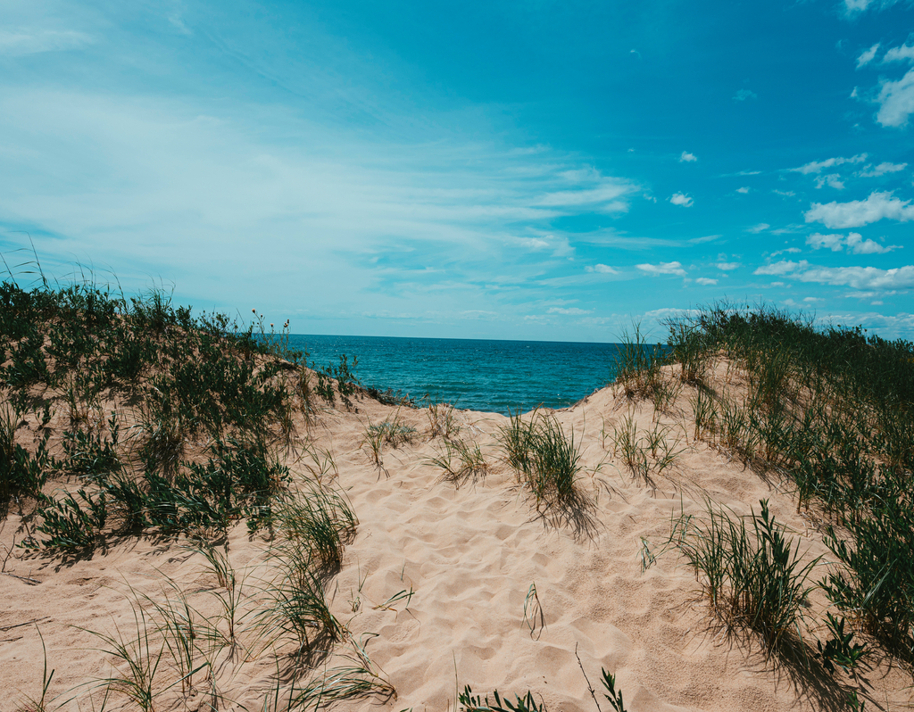 Lais Puzzle - Sanddünen Michigan - 40, 100, 200, 500, 1.000 & 2.000 Teile p-322099