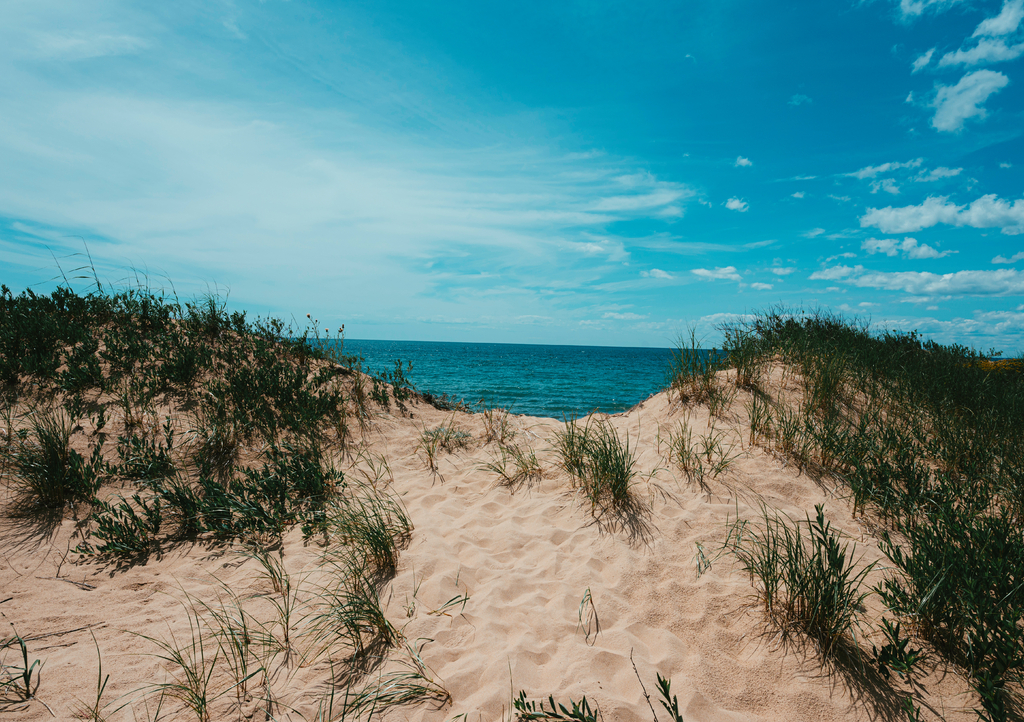 Lais Puzzle - Sanddünen Michigan - 1.000 Teile p-322103