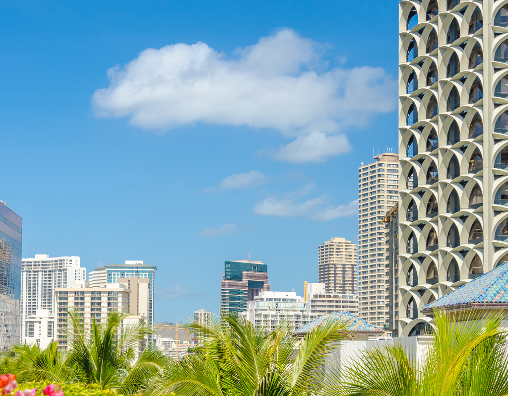 Lais Puzzle - Palmen und Hausdächer in Honolulu, Hawaii, USA - 40, 100, 200, 500, 1.000 & 2.000 Teile p-322555