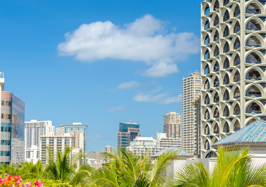 Lais Puzzle - Palmen und Hausdächer in Honolulu, Hawaii, USA - 1.000 Teile p-322559