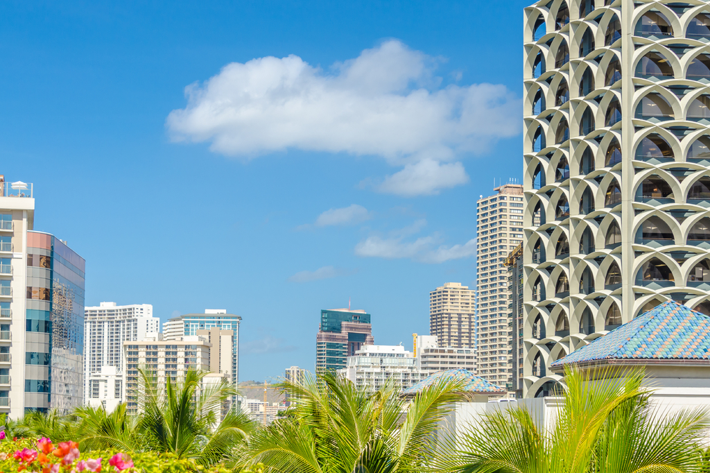 Lais Puzzle - Palmen und Hausdächer in Honolulu, Hawaii, USA - 2.000 Teile p-322560