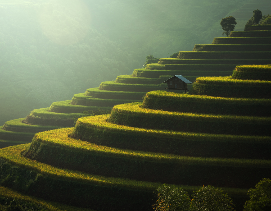 Lais Puzzle - Reisfelder Mu Cang Chai, Vietnam - 40, 100, 200, 500, 1.000 & 2.000 Teile p-323413