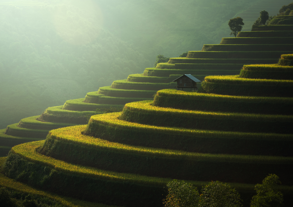 Lais Puzzle - Reisfelder Mu Cang Chai, Vietnam - 1.000 Teile p-323417