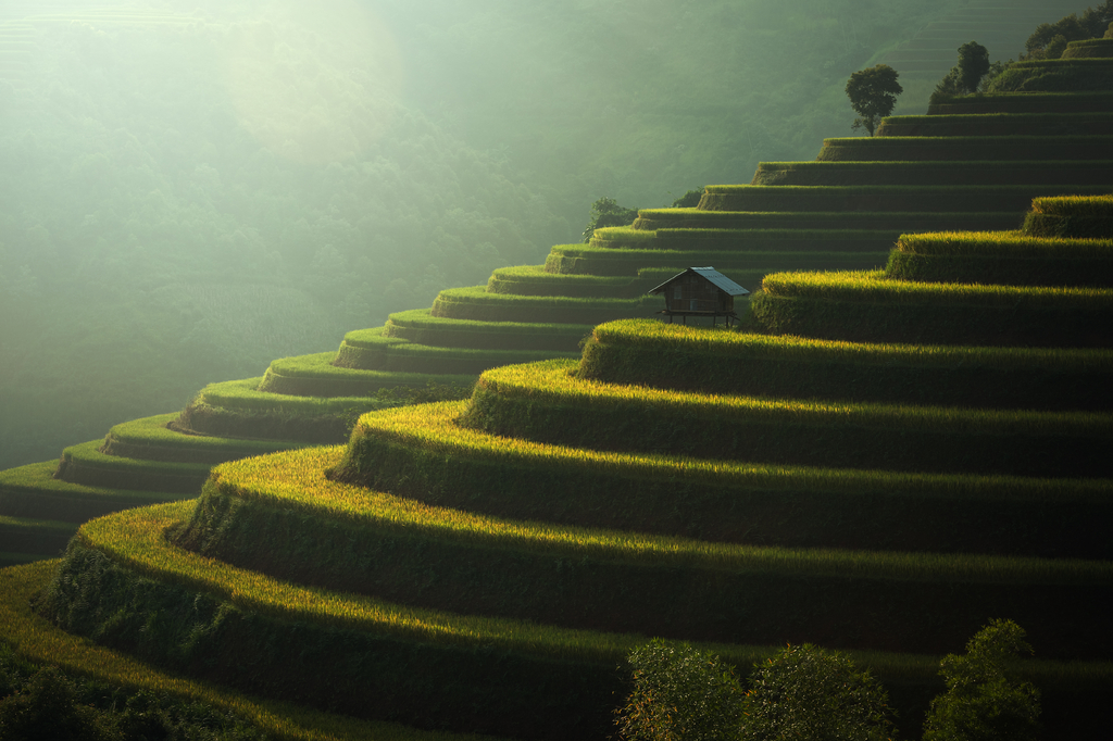Lais Puzzle - Reisfelder Mu Cang Chai, Vietnam - 2.000 Teile p-323418