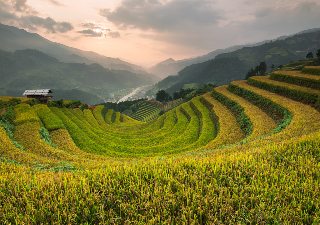 Lais Puzzle - Schöne Landschaft Reisfelder auf Terrassen von Mu Cang Chai - 1.000 Teile p-323543