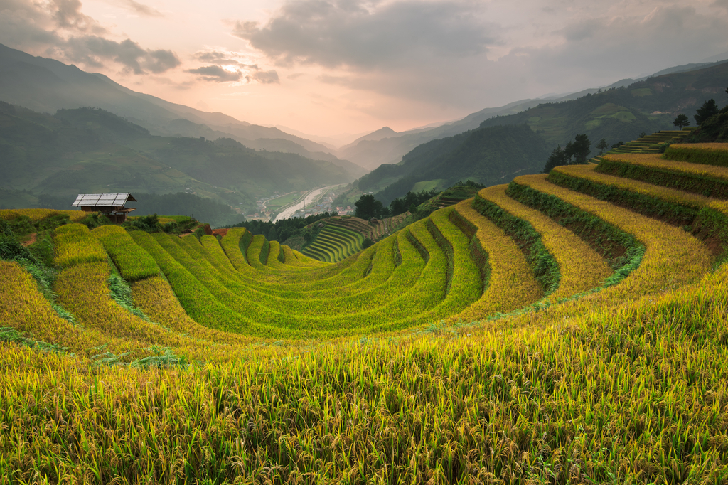 Lais Puzzle - Schöne Landschaft Reisfelder auf Terrassen von Mu Cang Chai - 2.000 Teile p-323544