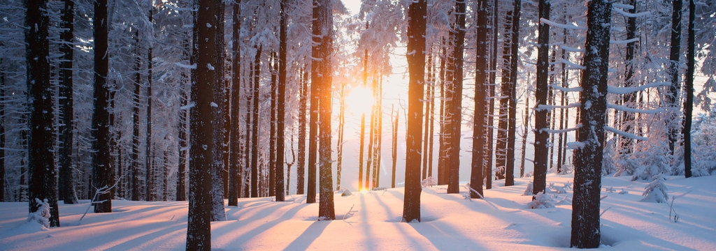 Lais Puzzle - Sonnenuntergang im Wald im Winterhalbjahr, Panorama - 1.000 Teile p-324340