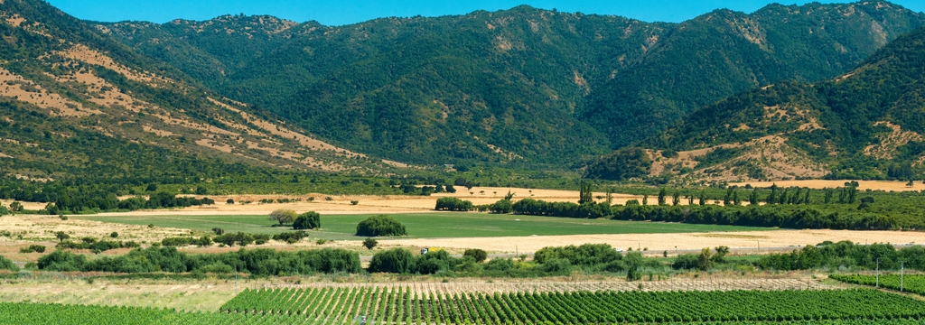 Lais Puzzle - Colchagua Tal, Chile, Panorama - 1.000 Teile p-326351