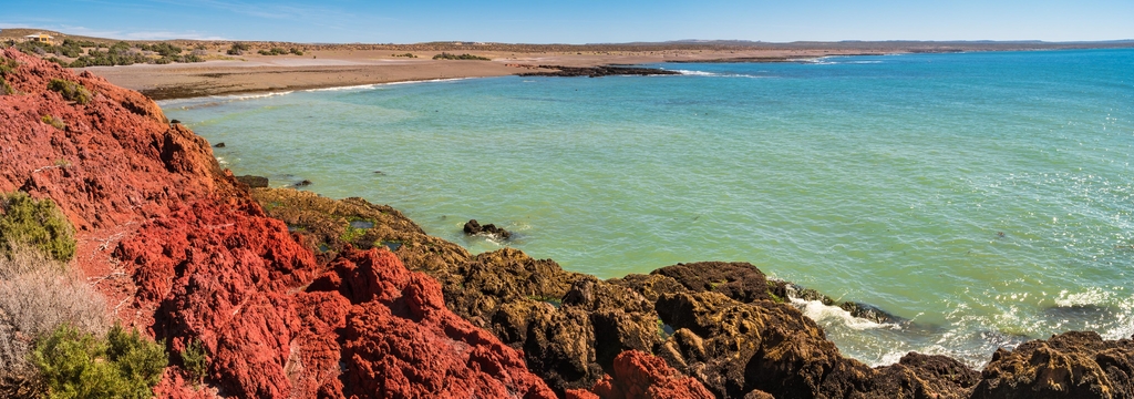 Lais Puzzle - Meeresküstenlandschaft von Punta Tombo, Patagonien, Argentinien, Panorama - 1.000 Teile p-326432