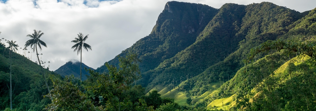 Lais Puzzle - Quindio-Wachspalmen im Valle de Cocora,nahe Salente, Zona Cafetera, Kolumbien, Panorama - 1.000 Teile p-326532
