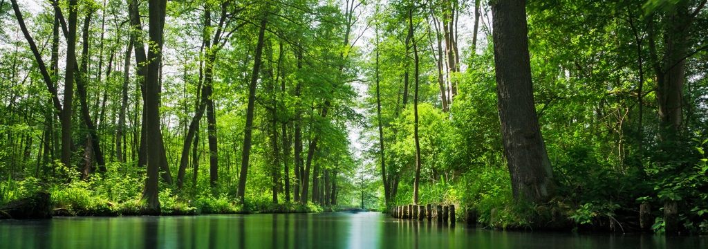 Lais Puzzle - Blick auf den Spreewald - Spree Wald, Deutschland, Panorama - 1.000 Teile p-326814