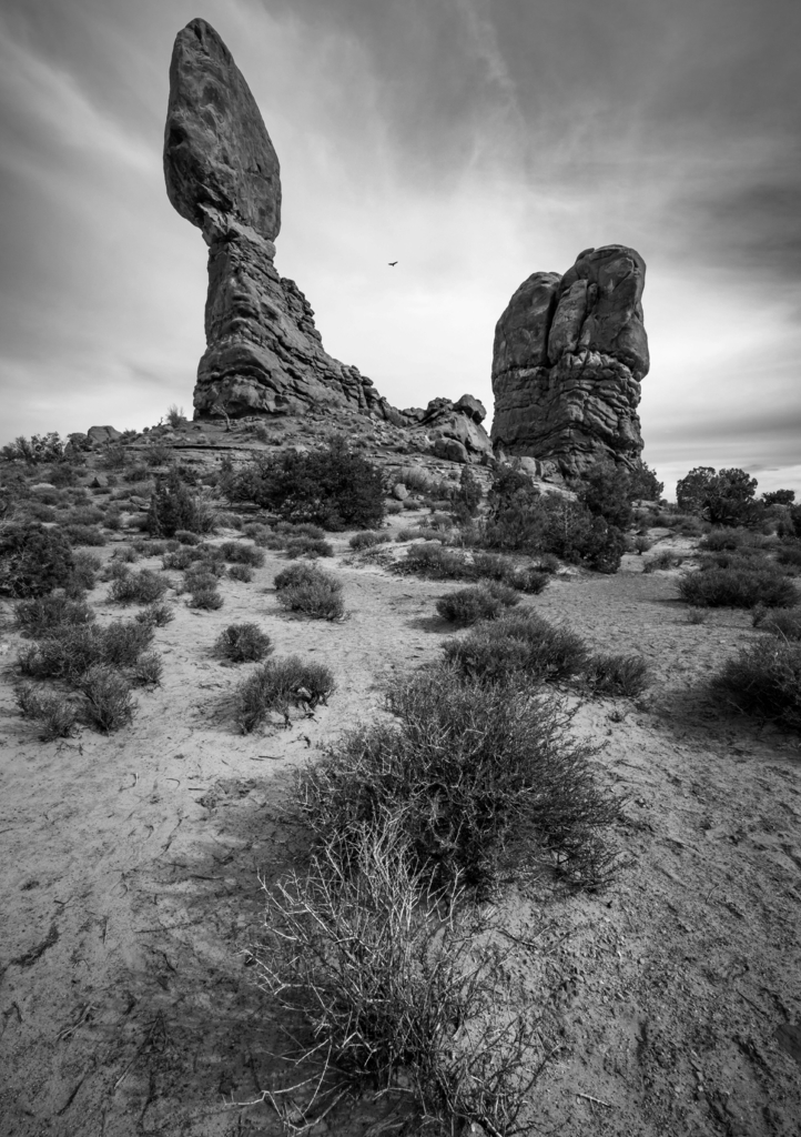 Lais Puzzle - Ausbalancierter Felsen im Arches-Nationalpark, Utah, USA in schwarz weiß - 1.000 Teile p-327129