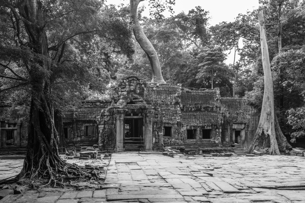 Lais Puzzle - Ta Prohm-Tempel in Angkor Kambodscha Asien in schwarz weiß - 2.000 Teile p-327211