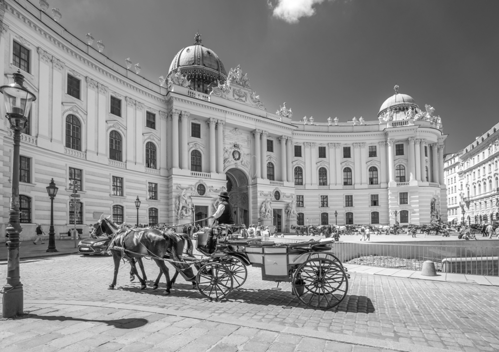 Lais Puzzle - Fiaker vor der Alten Hofburg, Wien, Österreich in schwarz weiß - 1.000 Teile p-328128