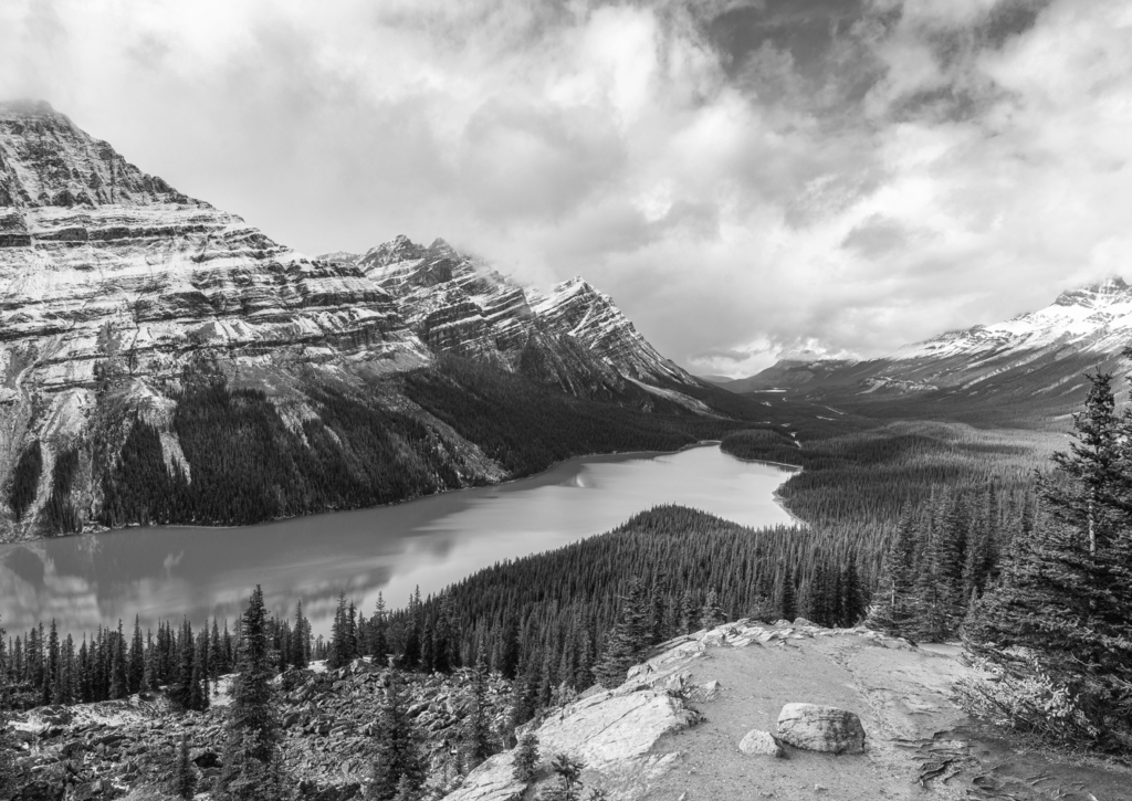 Lais Puzzle - Peyto See ähnelt einem Fuchs im Banff Nationalpark in Kanada in schwarz weiß - 500, 1.000 & 2.000 Teile p-329543