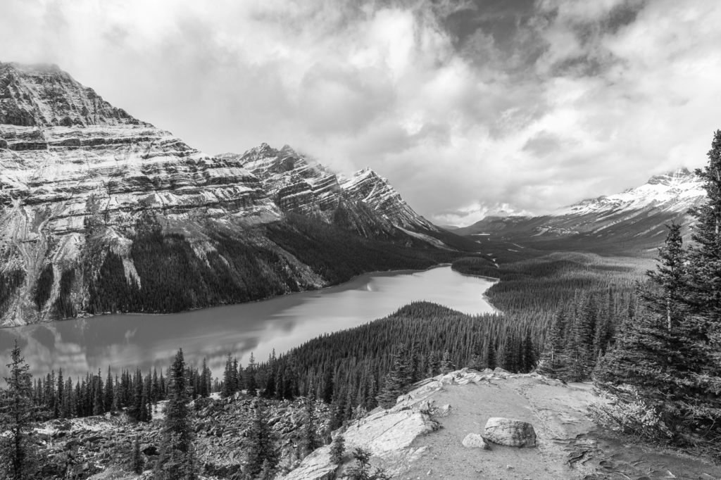 Lais Puzzle - Peyto See ähnelt einem Fuchs im Banff Nationalpark in Kanada in schwarz weiß - 2.000 Teile p-329545