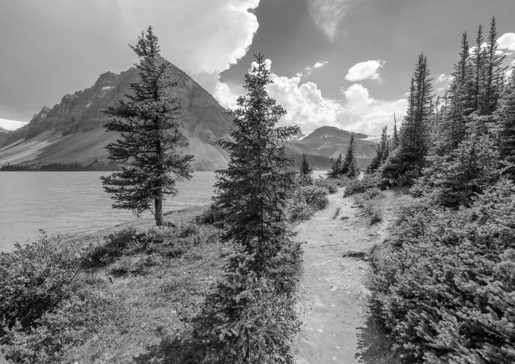 Lais Puzzle - Fragment eines Bergseewegs in Alberta, Kanada, Rocky Mountains in schwarz weiß - 500, 1.000 & 2.000 Teile p-329582