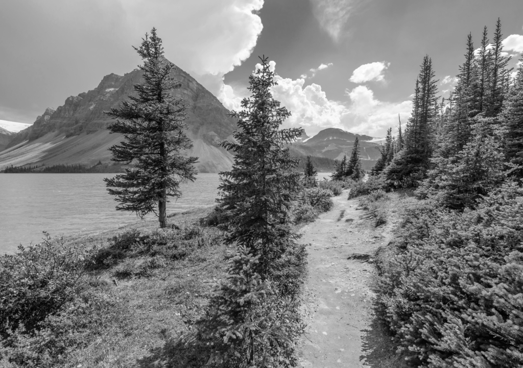 Lais Puzzle - Fragment eines Bergseewegs in Alberta, Kanada, Rocky Mountains in schwarz weiß - 1.000 Teile p-329583