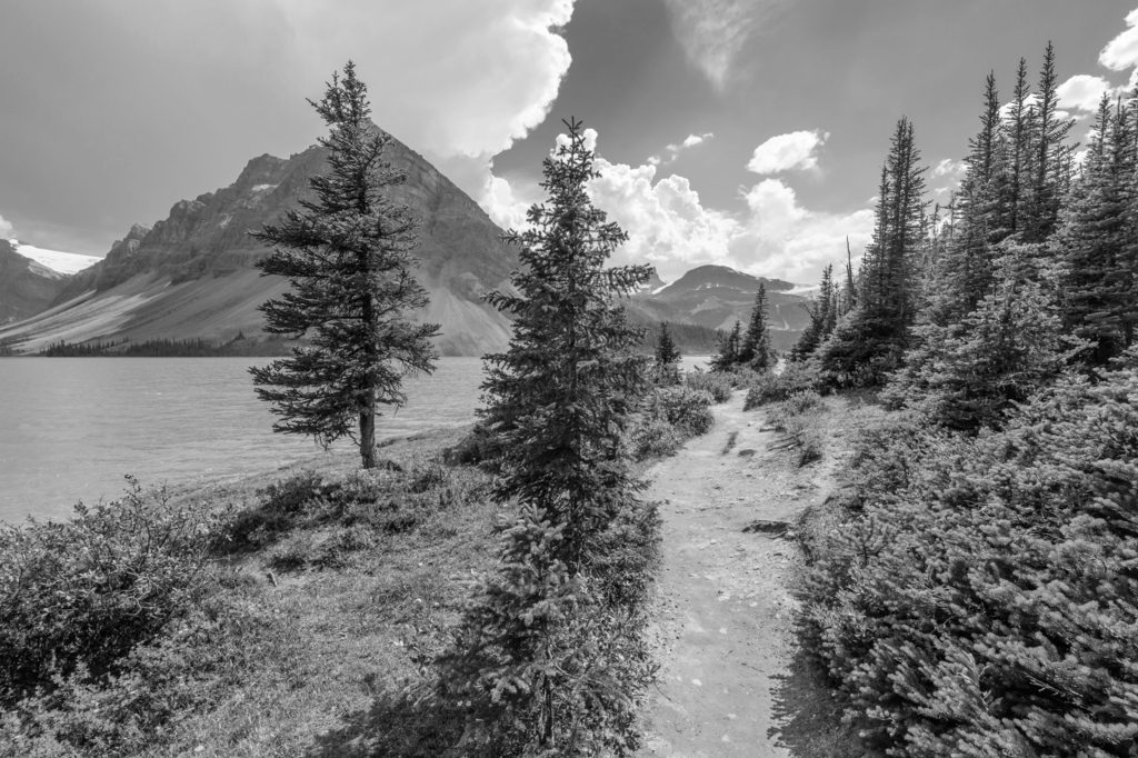 Lais Puzzle - Fragment eines Bergseewegs in Alberta, Kanada, Rocky Mountains in schwarz weiß - 2.000 Teile p-329584
