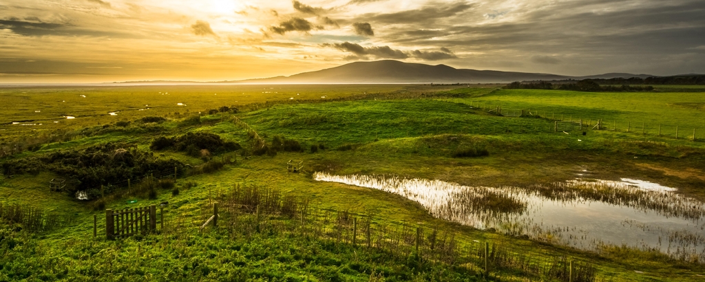 Lais Puzzle - Feuchtgebiete in Dumfries und Galloway, Schottland, Panorama - 2.000 Teile p-332687