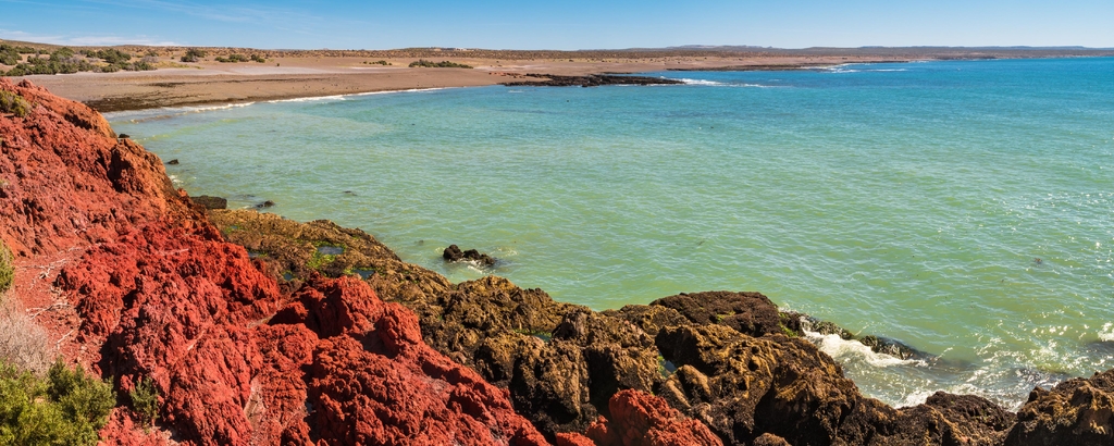 Lais Puzzle - Meeresküstenlandschaft von Punta Tombo, Patagonien, Argentinien, Panorama - 2.000 Teile p-333401