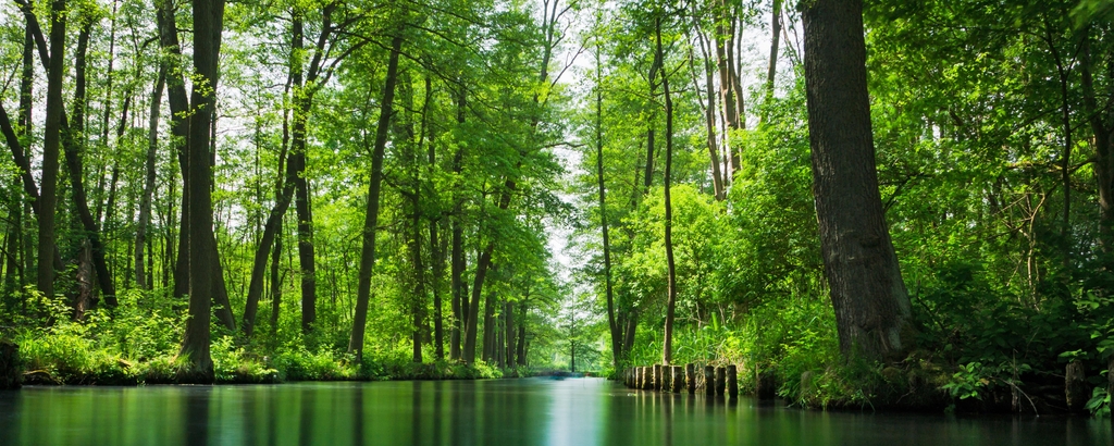 Lais Puzzle - Blick auf den Spreewald - Spree Wald, Deutschland, Panorama - 2.000 Teile p-335283